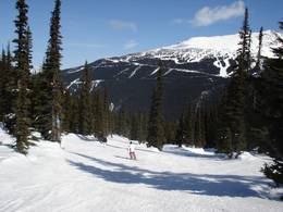 Whistler Blackcomb