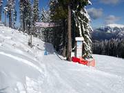 Tip voor de kleintjes 