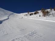 Piste nr. 13
