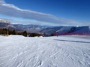 Lichte en brede piste Cordela