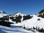 Uitzicht op de Wildgunten