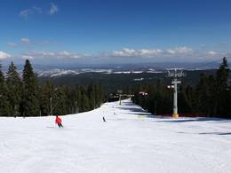 Borovets