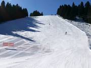 Zwarte piste Cherveno zname