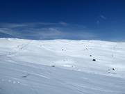 Freeridegebied tussen de Vinkelliften en de Nordalsliften