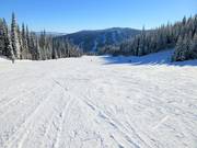 Brede en gemakkelijke piste Smile