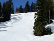 Young Guns Terrain Park TP1