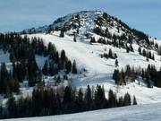 Skipiste Grubhörndl Standard