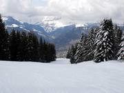 Typische afdaling op de Mont Lachat