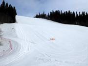 Middelzware afdaling Stjärnbacken