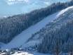 Skigebieden voor gevorderden en off-piste skiërs Dachsteingebergte – Gevorderden, off-piste skiërs Ramsau am Dachstein – Rittisberg