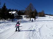 Zirbenlift 1 - Sleeplift met T-beugel/Ankerlift