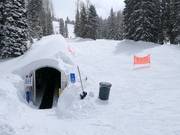 Oefengebied bij de transportband Caterpillar