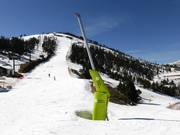 Uitgebreide besneeuwing in Pal-Arinsal