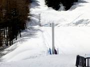 Gaudissart - Sleeplift/babyllift