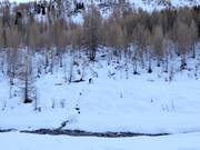 Langlaufloipe Lazinser Tal