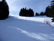 Lichte bospistes bij de Chuenisbärgli in Adelboden
