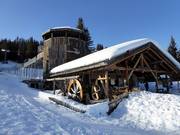Tip voor de kleintjes  - Familiecoaster Schneisenfeger (Serfaus)