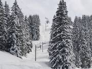 Vores - Pannenkoeklift