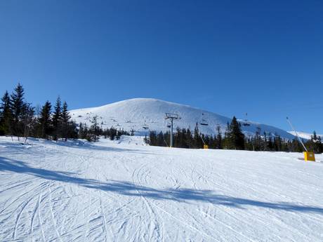 Scandinavische Gebergte: Grootte van de skigebieden – Grootte Trysil