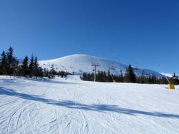 Trysil