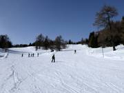 Gemakkelijke piste bij de Hochsonnlift