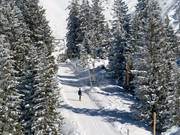 Klämmli - Sleeplift met T-beugel/Ankerlift