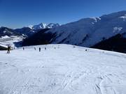 Gemakkelijke piste nr. 46 Planatsch