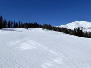 Gemakkelijke Stockerboden afdaling