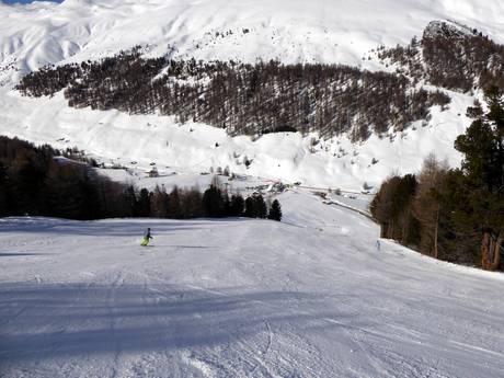 Skigebieden voor gevorderden en off-piste skiërs Twee Landen Skiarena (Zwei Länder Skiarena) – Gevorderden, off-piste skiërs Schöneben (Belpiano)/Haideralm (Malga San Valentino)