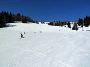 Afdaling Tschaneck-Königswiese