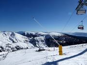 Lansbesneeuwing in het skigebied Meran 2000