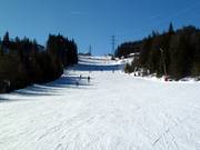 Oefenweide Königswiese (Katschberghöhe)