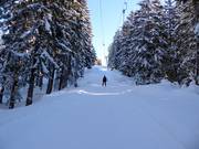 Sattellift - Sleeplift met T-beugel/Ankerlift