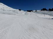 Oefenterrein bij de Balisalp