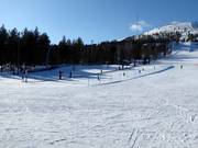 Oefenweide met transportband