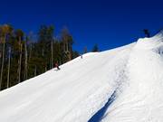 Kort zwart traject Ried