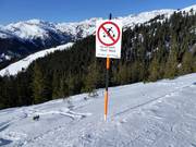 Bescherming van het bos