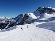 Gemakkelijke Olympia afdaling dames