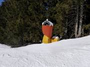 Mobiele sneeuwkanonnen in het skigebied