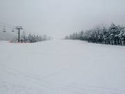 Afdaling Antelao Cino Menegus