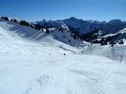 Middelzware afdaling Hohe Wacht