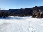 Gemakkelijke piste Walkabout