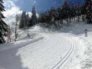 Het Fernskiwandelpad Schonach-Belchen loopt rechtstreeks door het skigebied.