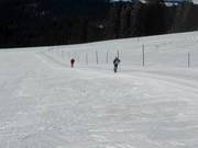 De Fernskiwanderweg Schonach-Belchen, hier onder de Stübenwasen