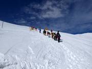 Beklimming naar de Mt. Niseko Annupuri
