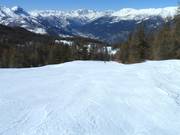 Bosafdaling in Sauze d'Oulx