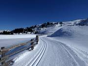 Hoogteloipe Platschjoch