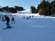 Beginnersgebied bij de sleeplift Almboden