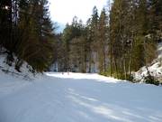 Dalafdaling Sauhöll naar Bayrischzell