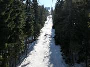 Sporen door de bossen